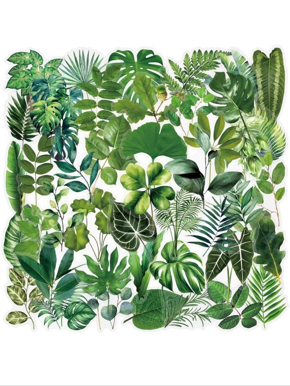 Green Botanical Wall Decals - Lush Leaf Home Wall Decor